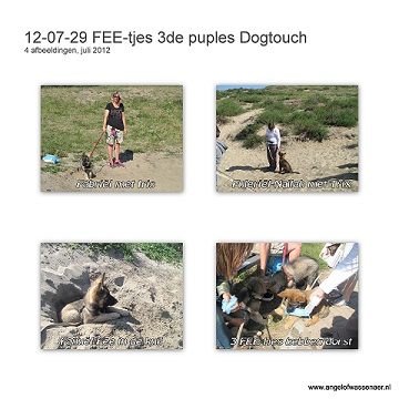 Derde Puppy les bij Dogtouch met Fabriël, Fuleriël-Nailah en onze Fanuël-Fee